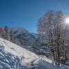Winterlandschaften10